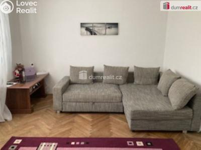 Pronájem bytu 2+1 České Budějovice, Puklicova č. 4