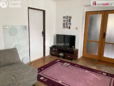 Pronájem bytu 2+1 České Budějovice, Puklicova č. 5