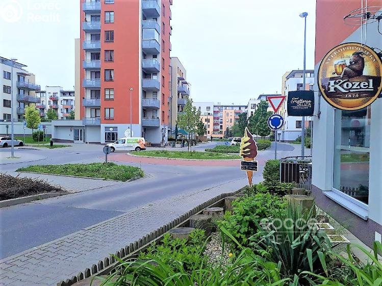 Pronájem bytu 1+KK Praha, Bermanova č. 14