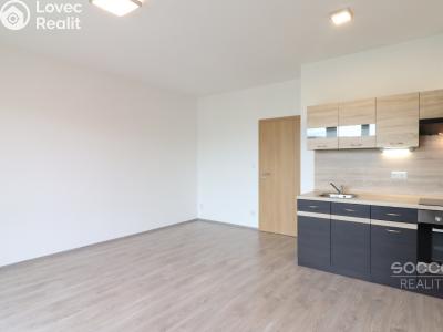 Pronájem bytu 1+KK Praha, Bermanova č. 1