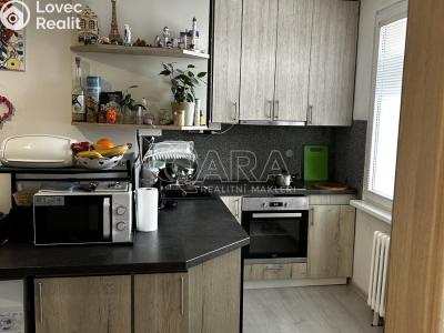 Prodej bytu 2+1 Vamberk, Struha 808 č. 1