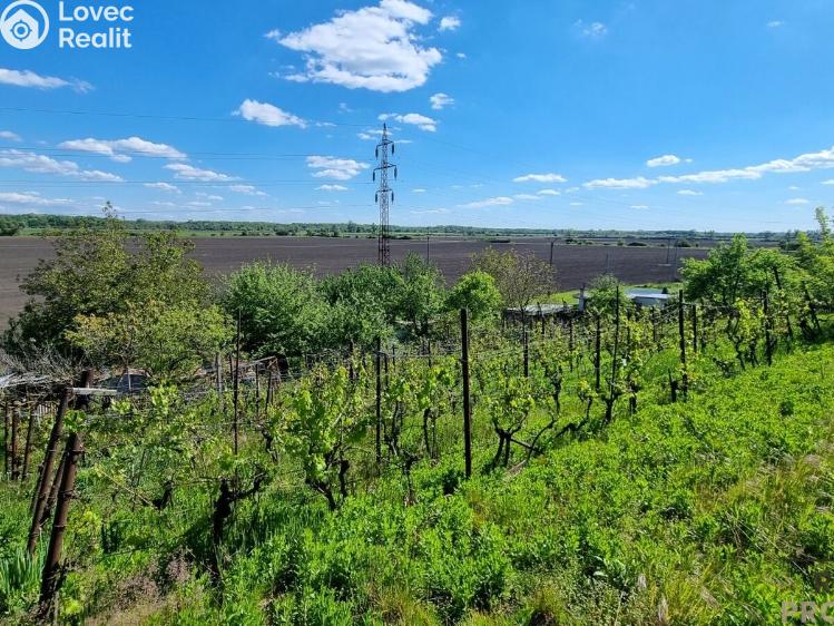 Prodej chaty Lužice č. 6