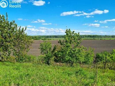 Prodej chaty Lužice č. 4