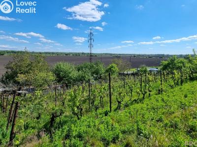 Prodej chaty Lužice č. 6