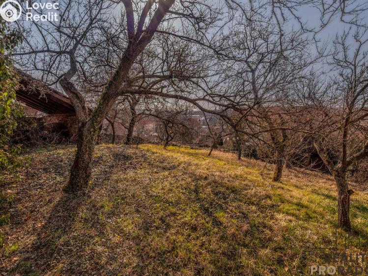Prodej chalupy Horní Dunajovice č. 13