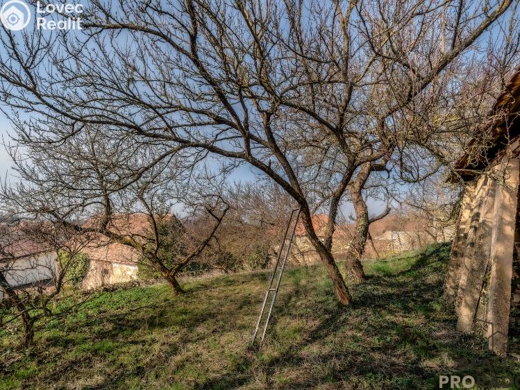 Prodej chalupy Horní Dunajovice č. 14