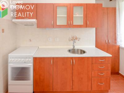 Rent apartment 3+KK Králův Dvůr, Pod Hájem č. 2