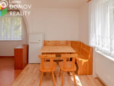 Rent apartment 3+KK Králův Dvůr, Pod Hájem č. 4