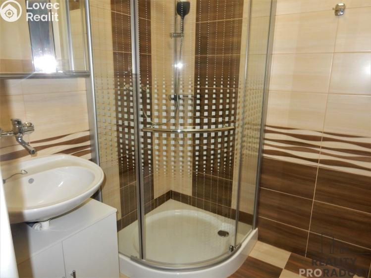 Pronájem bytu 3+KK Řevničov, Třebízského č. 8