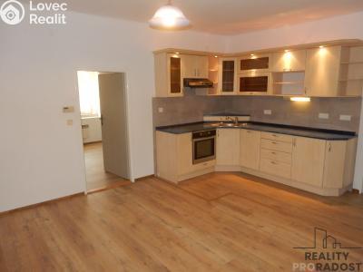 Rent apartment 3+KK Řevničov, Třebízského č. 3