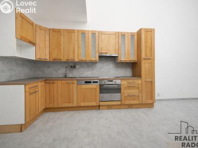 Pronájem bytu 1+KK Pardubice, nábřeží Závodu míru 2739 č. 3