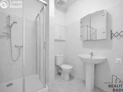 Pronájem bytu 1+KK Pardubice, nábřeží Závodu míru 2739 č. 6