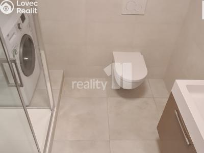 Rent apartment 1+KK Jesenice, Příčná II. č. 5