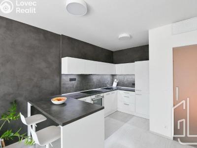 Pronájem bytu 3+KK Praha, Petržílkova č. 3