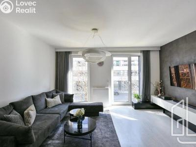 Pronájem bytu 3+KK Praha, Petržílkova č. 4