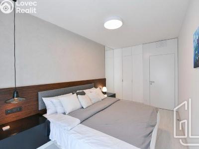 Pronájem bytu 3+KK Praha, Petržílkova č. 6