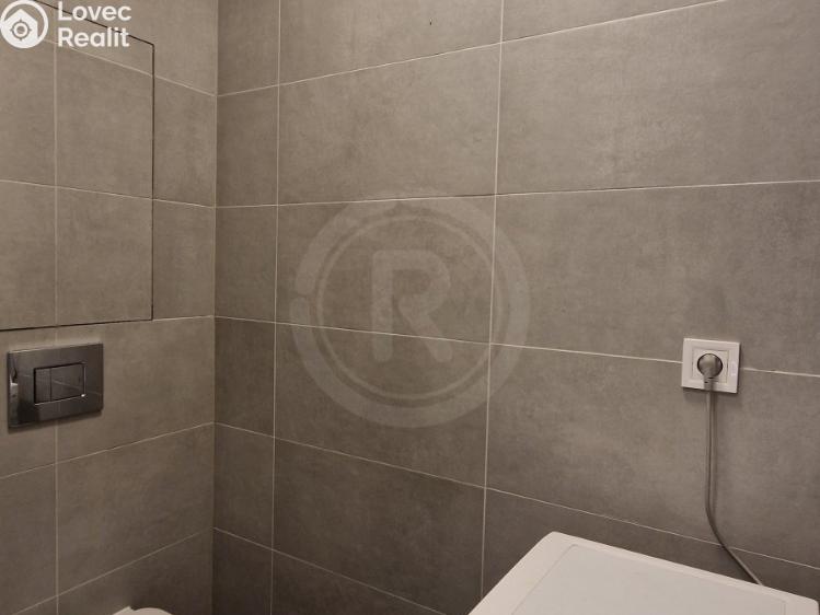 Pronájem bytu 1+1 České Budějovice, U Trojice 765/8 č. 6