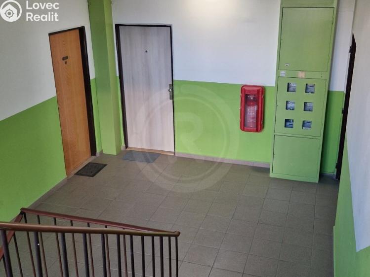 Pronájem bytu 1+1 České Budějovice, U Trojice 765/8 č. 11