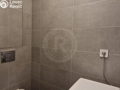 Pronájem bytu 1+1 České Budějovice, U Trojice č. 6