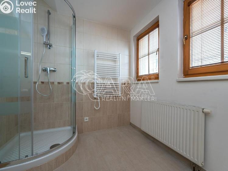 Rent apartment 4+KK Mladá Boleslav, Vodkova 135/1 č. 10