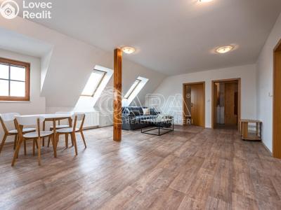 Rent apartment 4+KK Mladá Boleslav, Vodkova č. 1