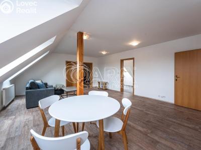 Rent apartment 4+KK Mladá Boleslav, Vodkova č. 4