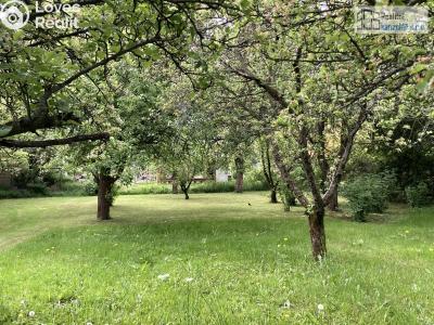 Prodej rodinného domu Supíkovice č. 3