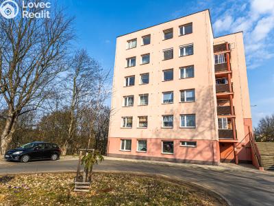 Pronájem bytu 3+1 Příbram, Milínská 158 č. 16
