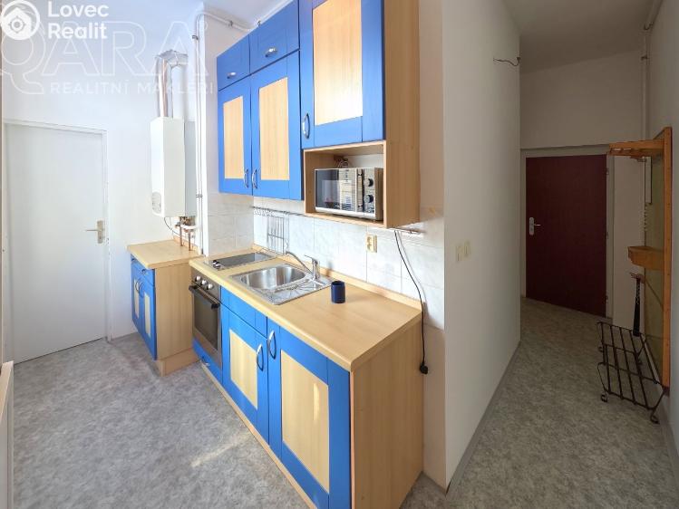 Rent apartment 1+1 Králův Dvůr, Plzeňská 86 č. 3