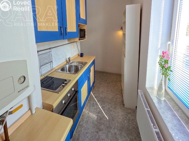 Rent apartment 1+1 Králův Dvůr, Plzeňská 86 č. 8