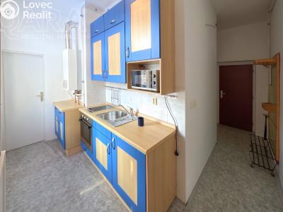Rent apartment 1+1 Králův Dvůr, Plzeňská 86 č. 3