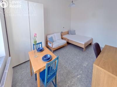 Rent apartment 1+1 Králův Dvůr, Plzeňská 86 č. 5