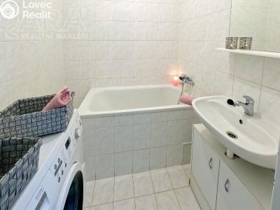 Rent apartment 1+1 Králův Dvůr, Plzeňská 86 č. 6