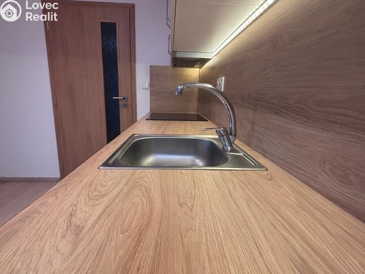 Pronájem bytu 3+1 Jistebník č. 5