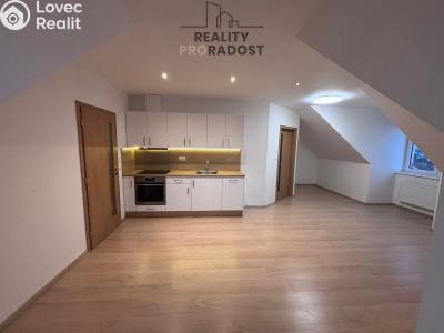 Pronájem bytu 3+1 Jistebník č. 3