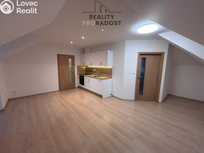 Pronájem bytu 3+1 Jistebník č. 4