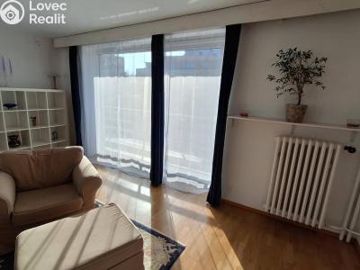 Pronájem bytu 2+1 Praha, Špačkova č. 4