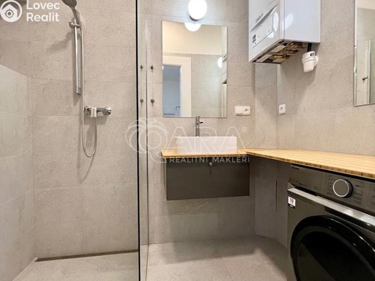 Pronájem bytu 2+1 Praha, Římská 1276/36 č. 15