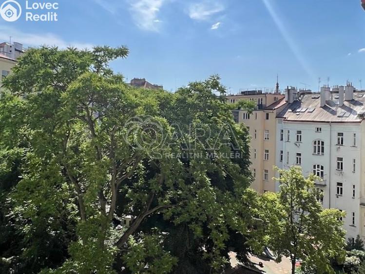 Pronájem bytu 2+1 Praha, Římská 1276/36 č. 24