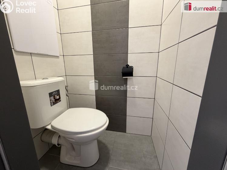 Pronájem bytu 2+1 Ostrov, Kollárova č. 4