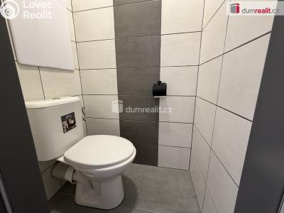 Pronájem bytu 2+1 Ostrov, Kollárova č. 4