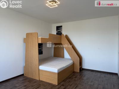 Pronájem bytu 2+1 Ostrov, Kollárova č. 6