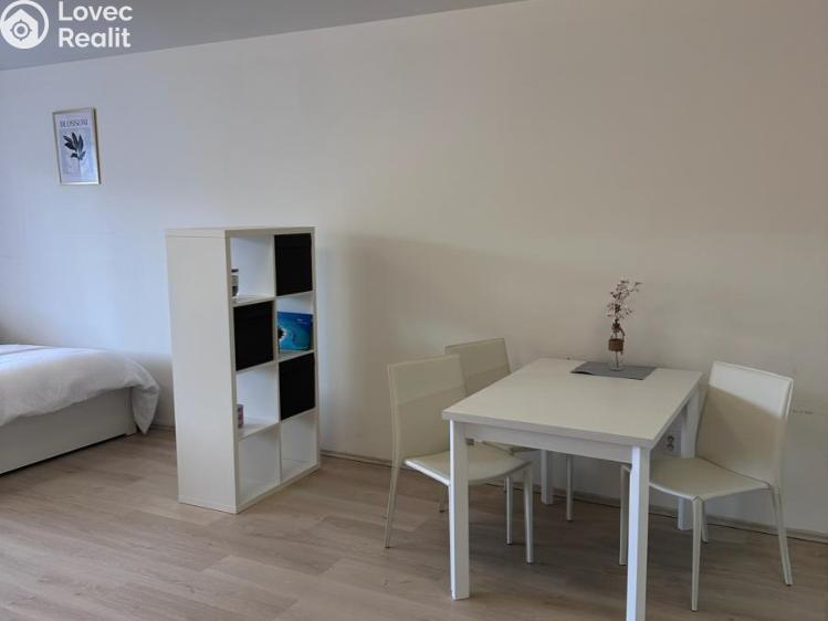 Prodej bytu 1+KK Jihlava, Halasova č. 9