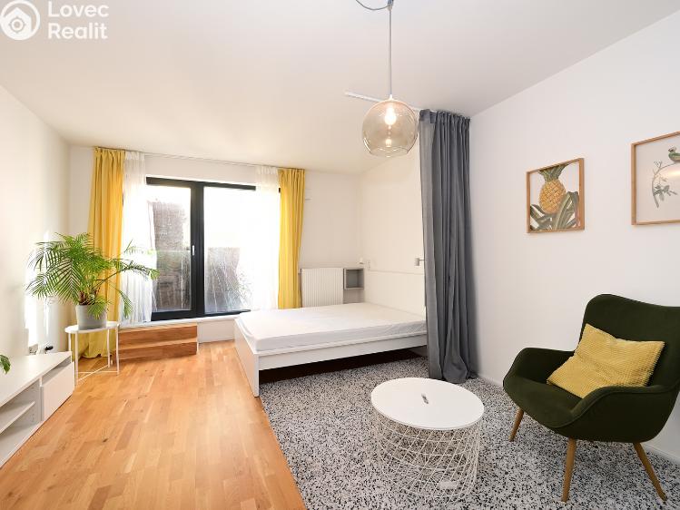 Pronájem bytu 1+KK Praha, Plzeňská 3352/156 č. 5