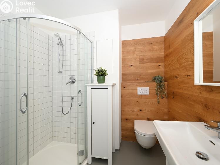 Pronájem bytu 1+KK Praha, Plzeňská 3352/156 č. 11