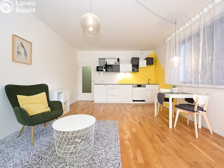 Rent apartment 1+KK Praha, Plzeňská 3352/156 č. 1