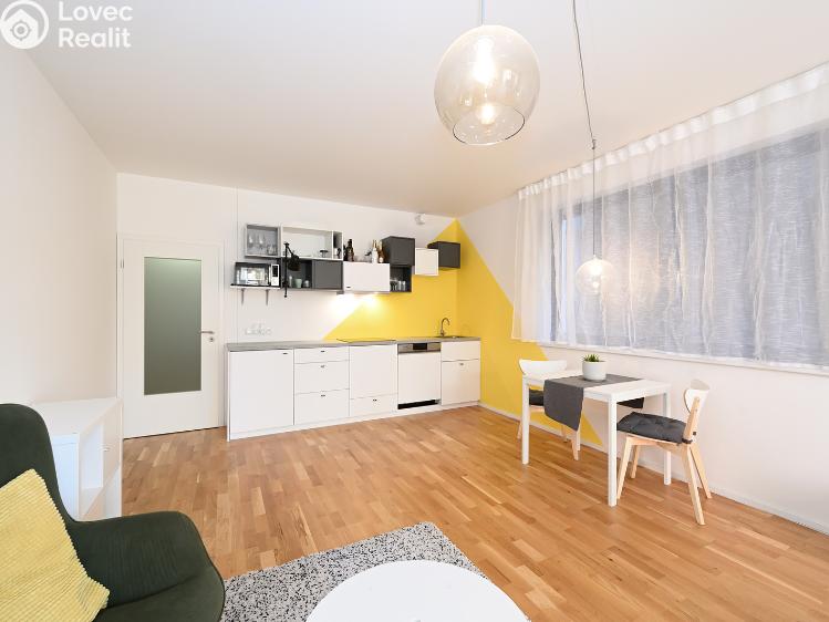 Rent apartment 1+KK Praha, Plzeňská 3352/156 č. 5