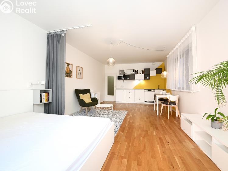 Rent apartment 1+KK Praha, Plzeňská 3352/156 č. 7