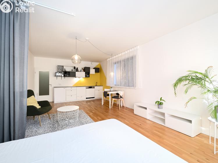 Rent apartment 1+KK Praha, Plzeňská 3352/156 č. 8