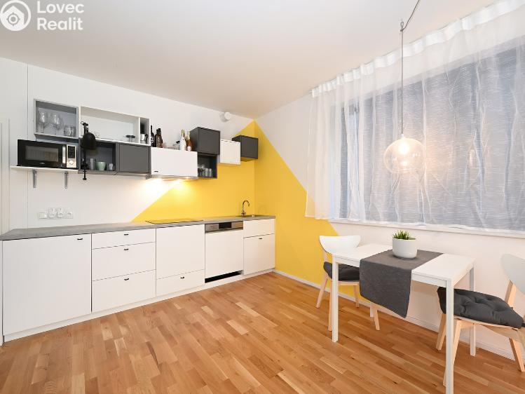 Rent apartment 1+KK Praha, Plzeňská 3352/156 č. 9